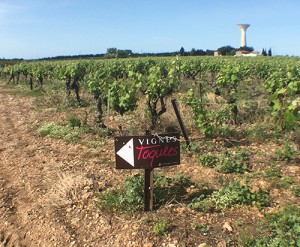 une balade gourmande de 7km où les promeneurs doivent suivre les pancartes installées dans les vignes