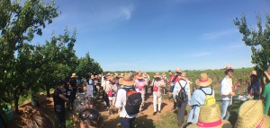 en famille ou entre amis, les Vignes Toquées sont un rendez-vous conviviale