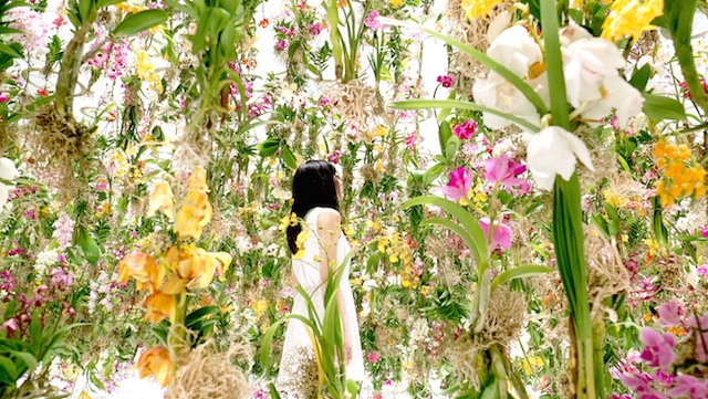 Une exposition interactive composée de 2300 fleurs qui prennent la forme des visiteurs