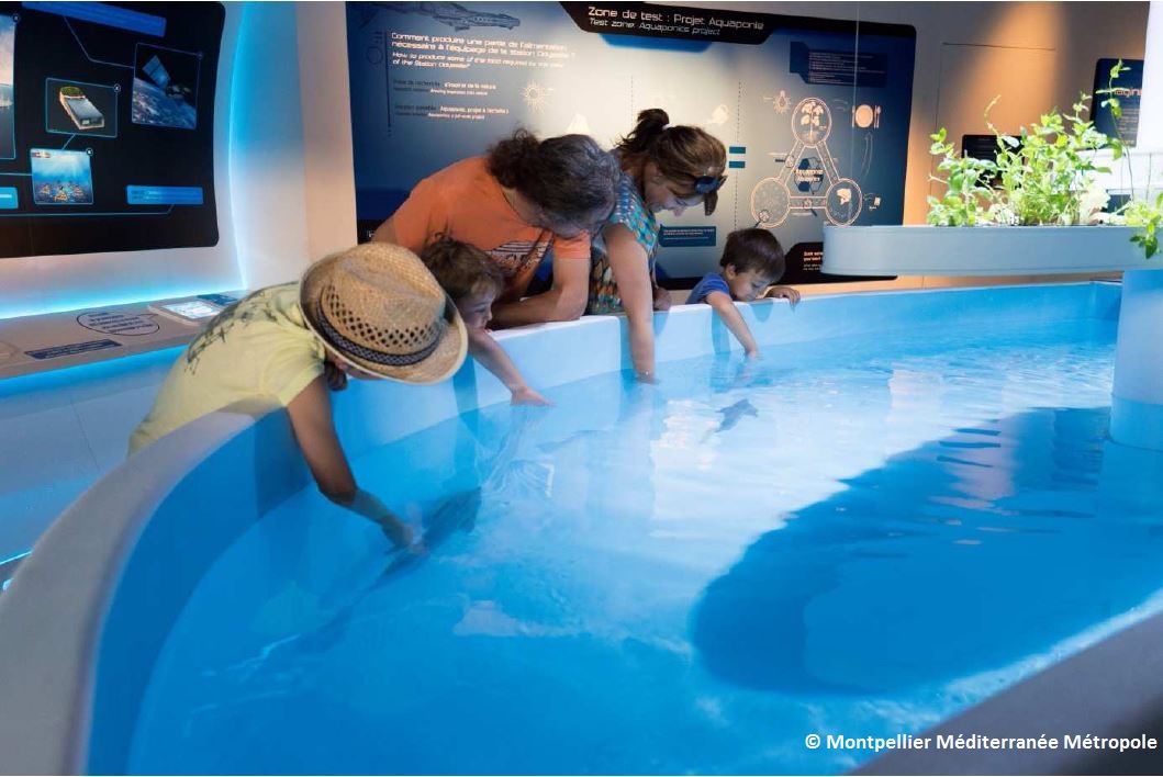 L'aquarium Mare Nostrum à Montpellier à mis en place un bassin tactile permettant aux visiteurs de toucher les poissons