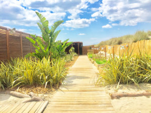 Avant d'arriver à la Pampa Plage, le jardin tropical nous met dans l'ambiance