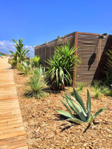 Jardin exotique à l'entrée de la Pampa