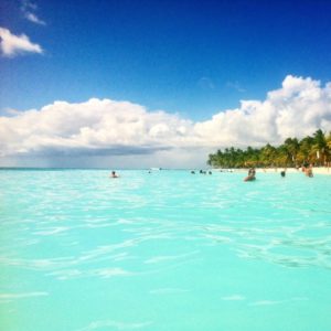 excursion sur l'île de Saona et son paysage de carte postale