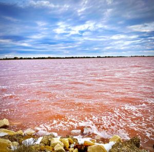 le salin d'aigues mortes et son eau rose