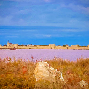 vue sur les remparts d'aigues mortes depuis le salin