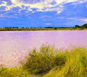 le salin d'aigues mortes à 20 minutes de montpellier