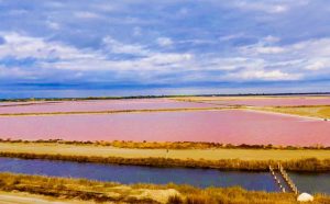 vue depuis la camelle sur le salin d'aigues mortes